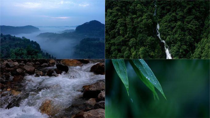 森林大自然晨雾云海流水溪流绿叶雨水下雨
