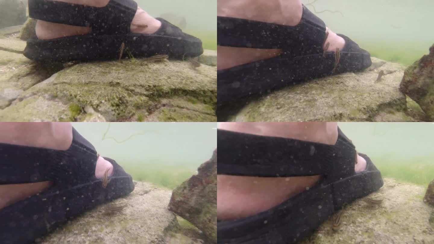 水里的鞋