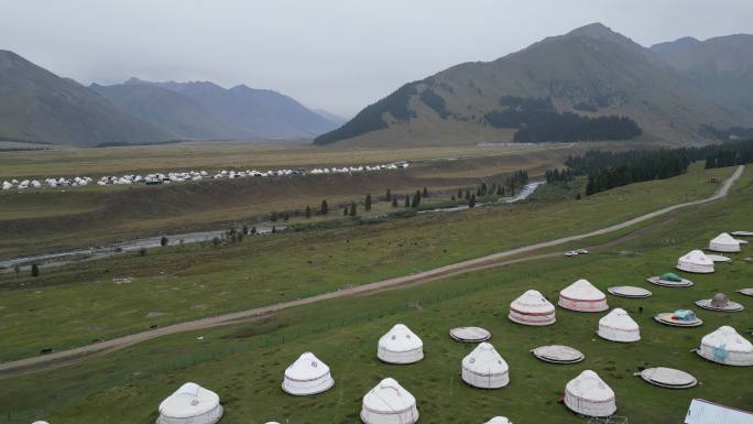 草原风光  晨雾弥漫  新疆风景