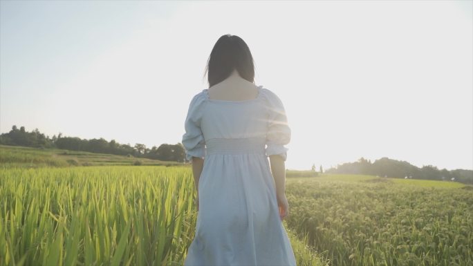 女生田间行走背影亲近自然自由自在文艺清新