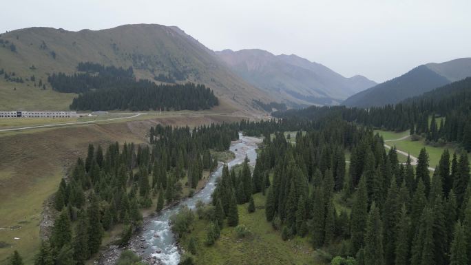 草原风光  晨雾弥漫  新疆风景