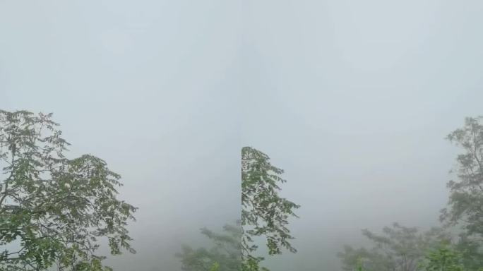 雾蒙蒙的山间