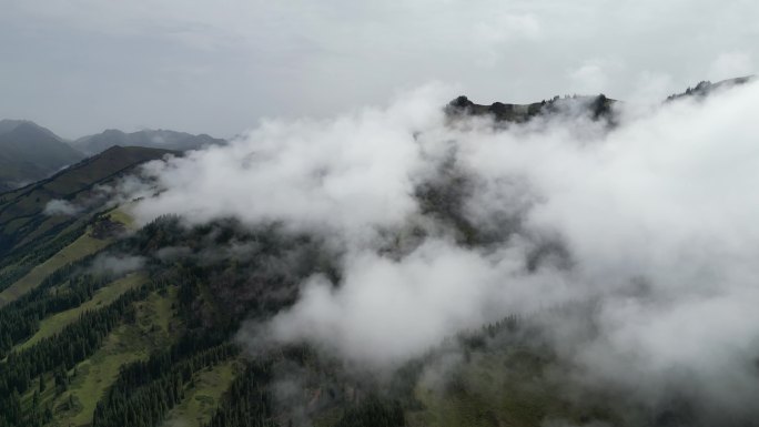 草原云海   舒适风景   独库公路风光