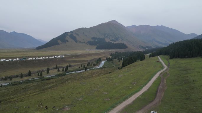 草原风光  晨雾弥漫  新疆风景