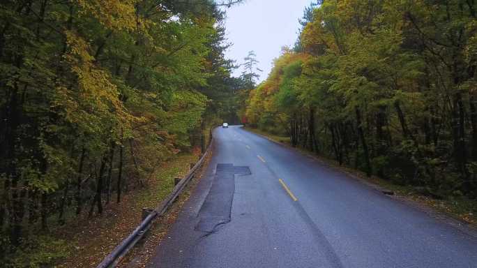 航拍四川九寨沟树正沟景区公路