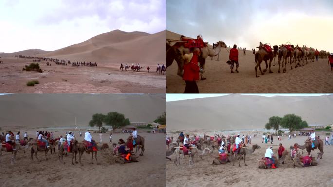 鸣沙山骆驼旅游