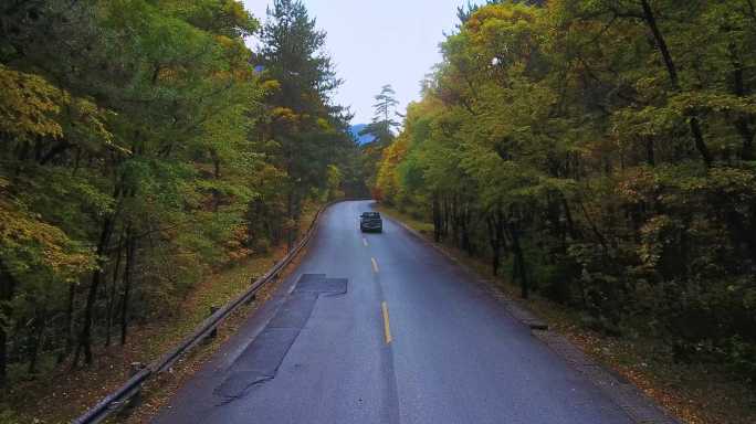 航拍中国九寨沟树正沟景区公路