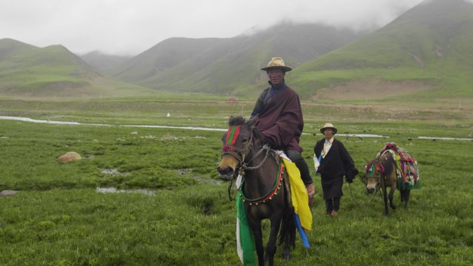 草原骑马 牧区骑马 骑马放牧 自然 牛仔