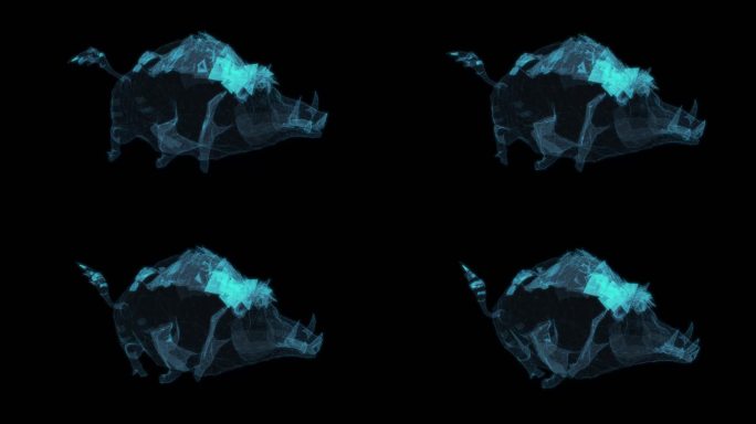 野猪 奔跑循环哺乳动物游戏角色肉食凶猛