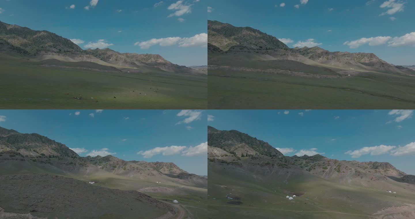 （5K广告级）新疆内蒙大草原羊群放牧