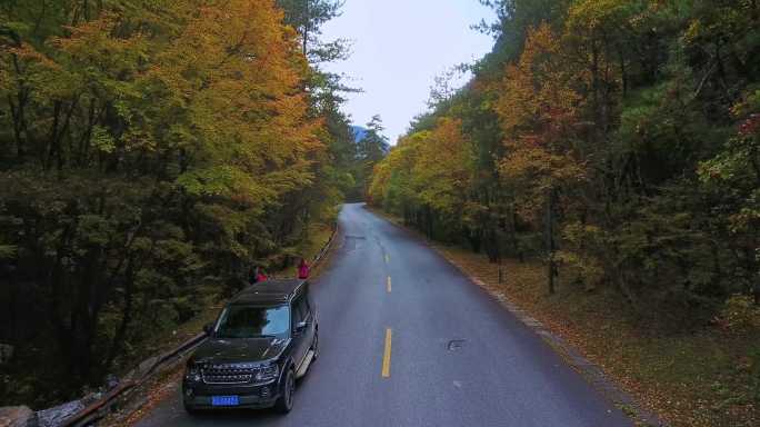 航拍四川九寨沟树正沟景区公路