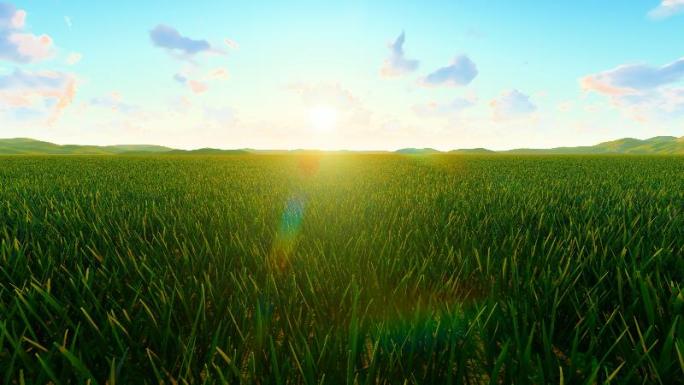 草原清晨太阳升起延时摄影