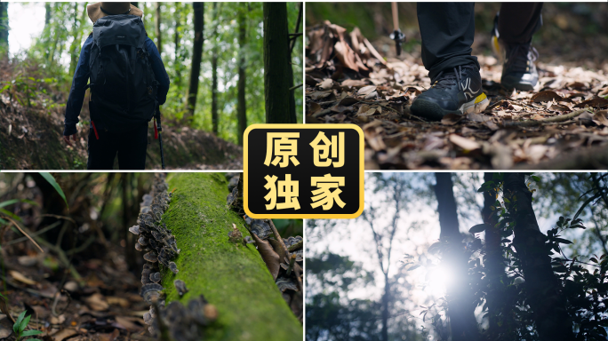户外徒步旅行森林探险探索自然登山爬山脚步