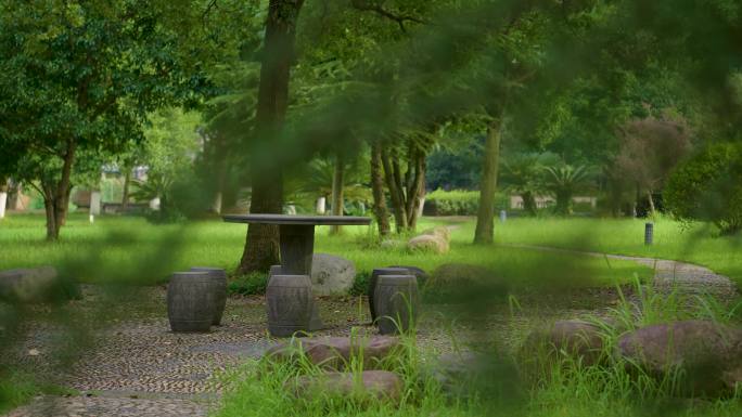 公园树林里的石凳