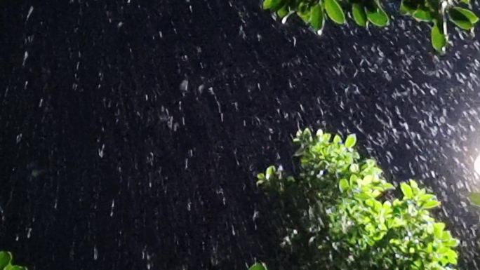 雨夜光影绿叶深夜雨景夜景下雨光晕唯美雨滴