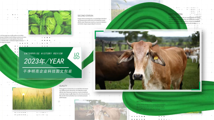 绿色农业生态图片照片包装展示