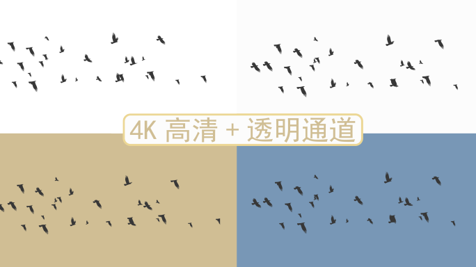 4K高清水墨飞鸟素材（mp4+透明通道）