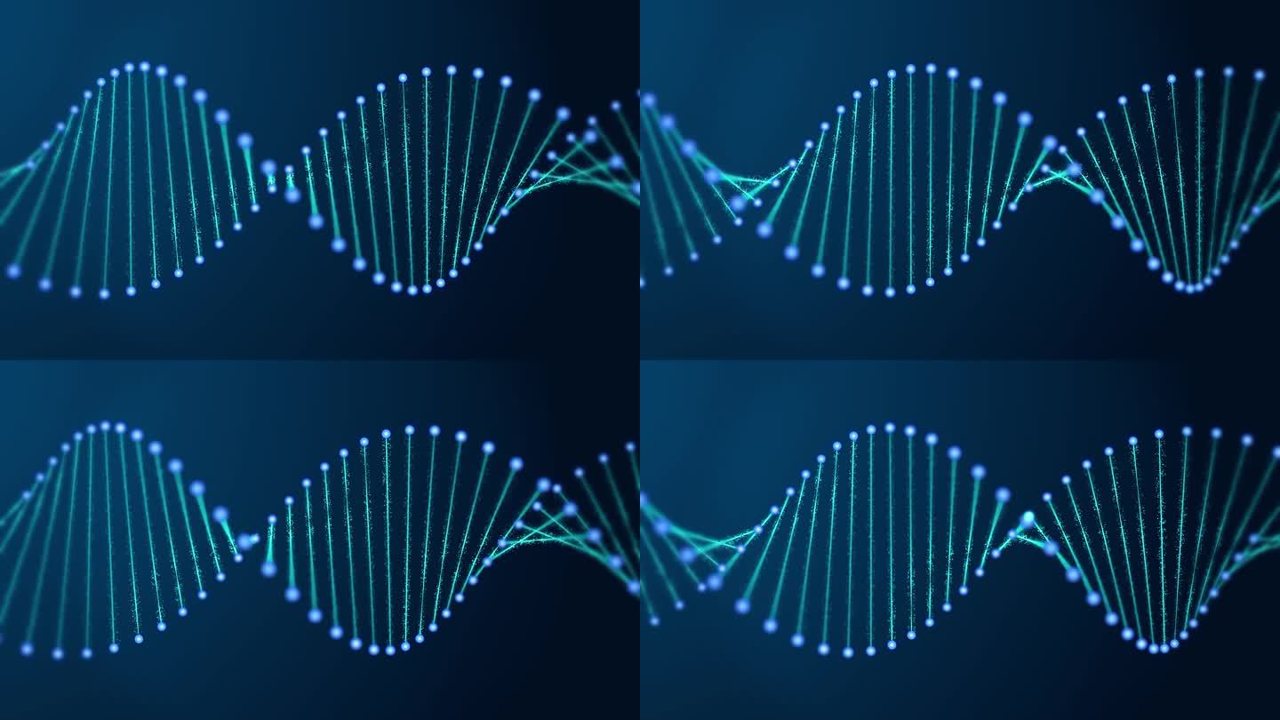 DNA旋转视频