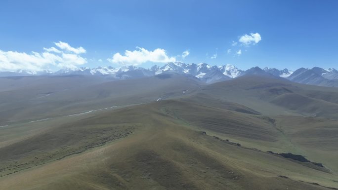 草原雪山