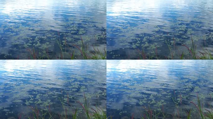 湖面清澈宁静诗意自然摄影