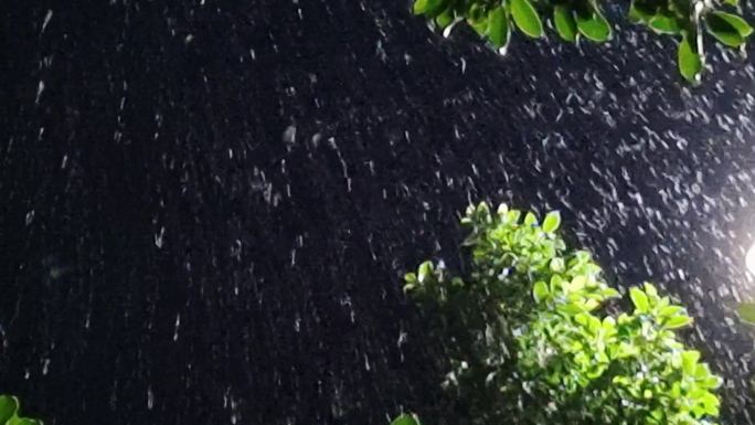 下雨唯美雨夜逆光雨点绿树逆光雨丝雨夜意境