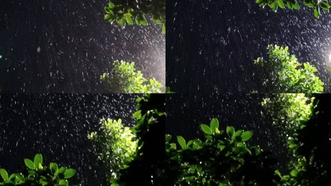 下雨唯美雨夜逆光雨点绿树逆光雨丝雨夜意境