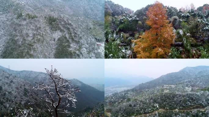 台州冬天雪山雪景