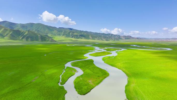 航拍新疆巴音布鲁克草原牛羊成群高山河流