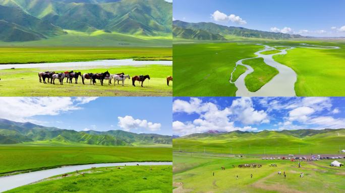 航拍新疆巴音布鲁克草原牛羊成群高山河流