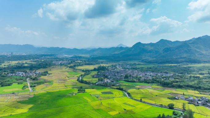 安徽黟县南屏景区水稻田延时4k