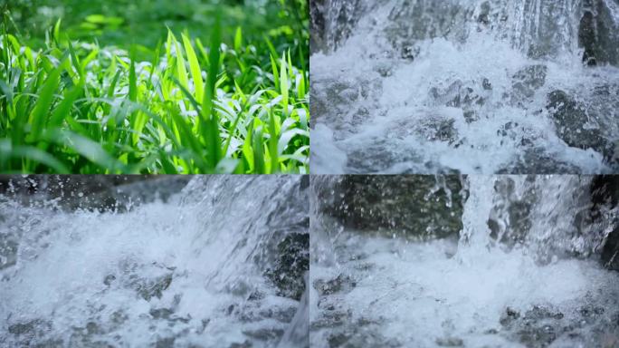 大自然溪水泉水流水潺潺逆光树叶