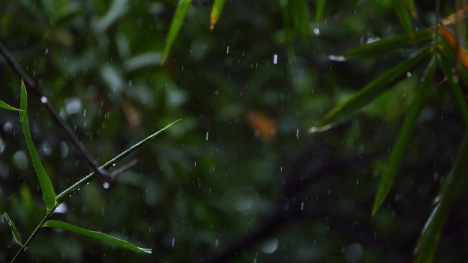 烟雨江南：古建筑屋檐的水滴