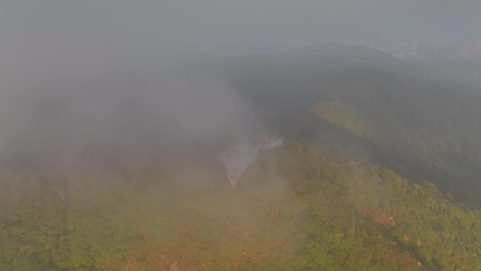 深圳阳台山山顶云海晚霞航拍k