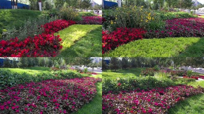 呼市金川开发区 金川开发区-金川全貌