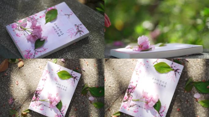 唯美写意春天樱花花瓣放在书上特写镜头