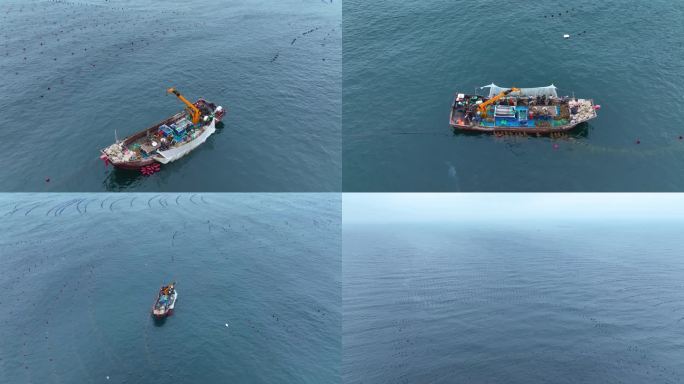 海洋牧场渔船渔民采集工作