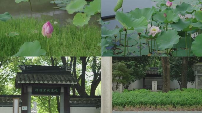 上海黄道婆纪念公园
