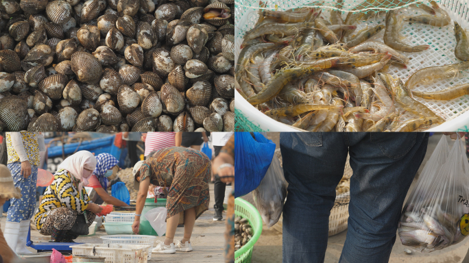 渤海湾毛蚶 海虾