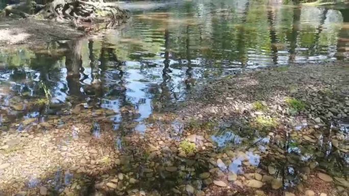 流水 水 山林  山泉