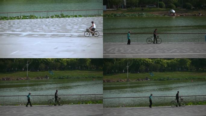 公园  老人骑车 骑自行车老人