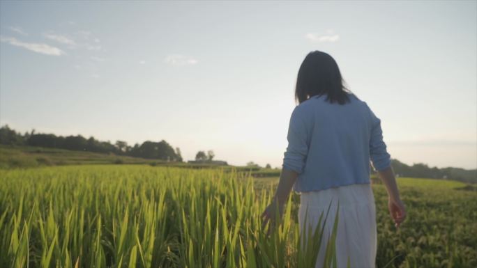 唯美文艺女生背影小清新美女田埂慢步背影