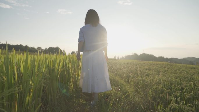 美女田埂慢步背影唯美文艺女生背影小清新