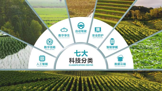 【3-8组】简洁扇形图文结构信息分类展示