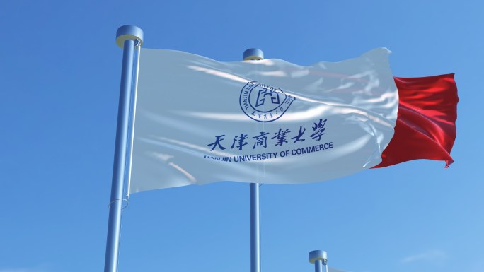 天津商业大学旗帜