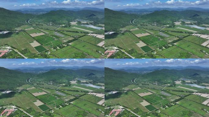 海南三亚水稻国家公园