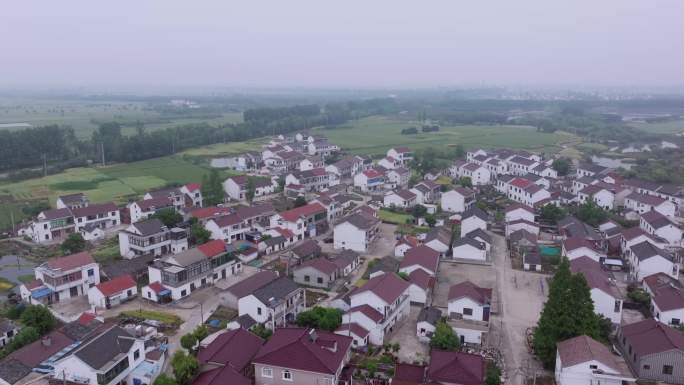 江南烟雨/湿地/湿地鸟类/鹭素材合集4K