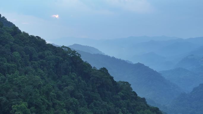 山峦如聚的云南热带雨林