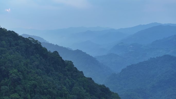 云南盈江县犀鸟谷茂密的热带雨林