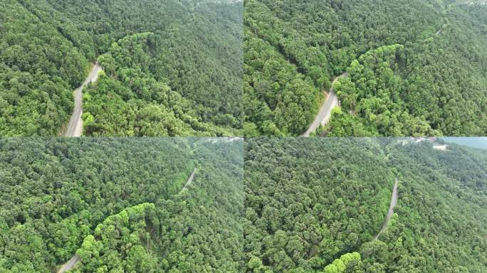 森林公路航拍山路树林道路俯拍林间道路风景