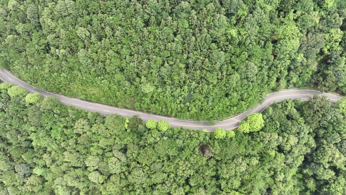 森林公路航拍山路树林道路俯拍林间道路风景